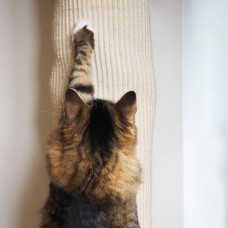 Quapas! kaķu kāpšanas soma, sizals, 180 cm