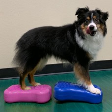 Fitpaws suņu līdzsvara platformas mini k9fitbone, 2 gab., 29x16,5x6 cm
