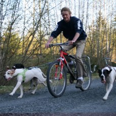 Springer velosipēda suņu pavadas komplekts