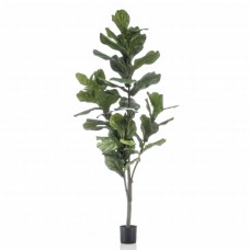 Emerald mākslīgais augs – lirveida fikuss, 160 cm