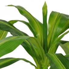 Mākslīgais augs, dracēna ar podiņu, 100 cm, zaļa