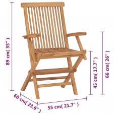 Saliekami dārza krēsli, 2 gab., masīvs tīkkoks