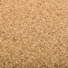 Durvju paklājs, mazgājams, krēmkrāsā, 40x60 cm