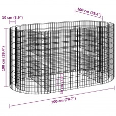 Gabions, augstā puķu kaste, cinkota dzelzs, 200x100x100 cm