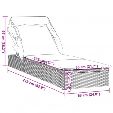 Sauļošanās gulta ar jumtu, 213x63x97 cm, pelēka pe rotangpalma