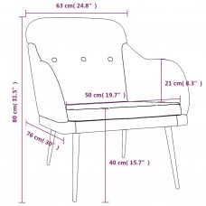 Atpūtas krēsls, gaiši pelēks, 63x76x80 cm, audums