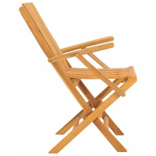 Saliekami dārza krēsli, 2 gab., 61x67x90 cm, masīvs tīkkoks