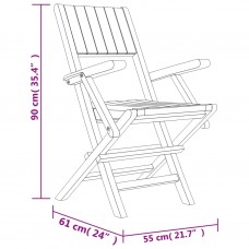 Saliekami dārza krēsli, 2 gab., 55x61x90 cm, masīvs tīkkoks
