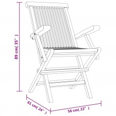 Saliekami dārza krēsli, 2 gab., 56x61x89 cm, masīvs tīkkoks