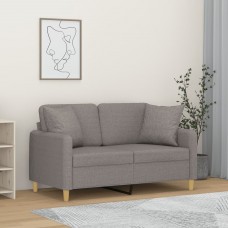 Divvietīgs dīvāns ar spilveniem, gaiši pelēks, 120 cm, audums