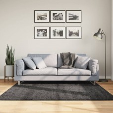 Paklājs, 160x160 cm, shaggy, moderns, antracītpelēks
