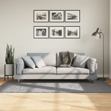 Paklājs, 100x200 cm, shaggy, moderns, pelēks
