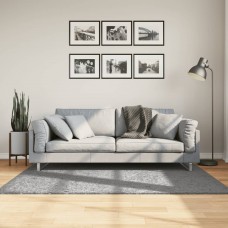 Paklājs, 120x170 cm, shaggy, moderns, pelēks