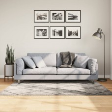 Paklājs, 120x170 cm, shaggy, moderns, bēšs un antracītpelēks