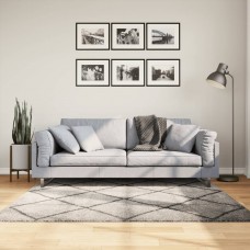 Paklājs, 160x160 cm, shaggy, moderns, bēšs un antracītpelēks