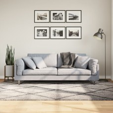 Paklājs, 160x230 cm, shaggy, moderns, bēšs un antracītpelēks