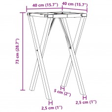 Virtuves galda kājas, x-forma, 40x40x73 cm, čuguns