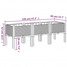 Dārza puķu kaste ar kājām, brūna, 120x40x42 cm, pp