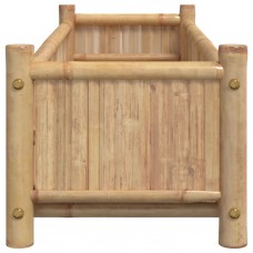 Puķu kaste, 100x30x25 cm, bambuss