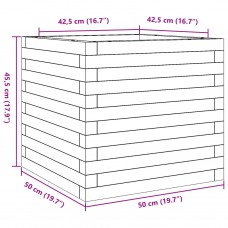 Dārza puķu kaste, 50x50x45,5 cm, impregnēts priedes koks