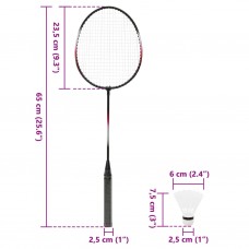 Badmintona komplekts ar 2 raketēm, 292x30x152 cm